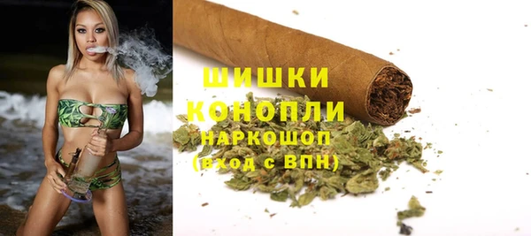 стафф Богородск