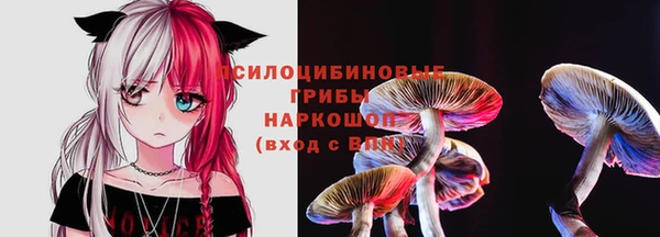 стафф Богородск