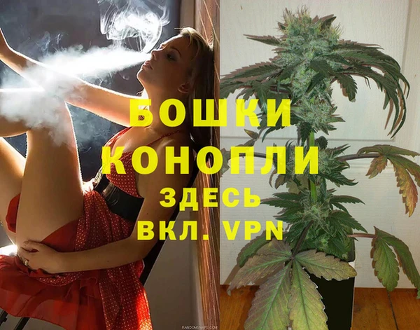 ПСИЛОЦИБИНОВЫЕ ГРИБЫ Богородицк